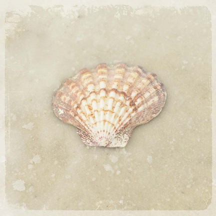 Framed Gypsy Sea Brown 1 Print