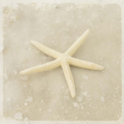 Framed Gypsy Sea Brown 3 Print