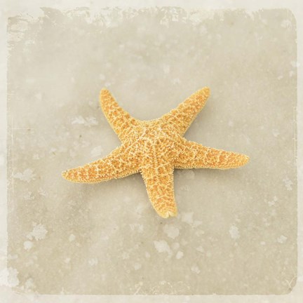 Framed Gypsy Sea Brown 4 Print