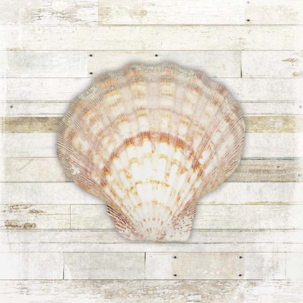 Framed Gypsy Sea Coastal 1 Print