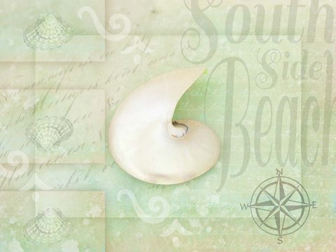 Framed Gypsy Sea Green 2 Print