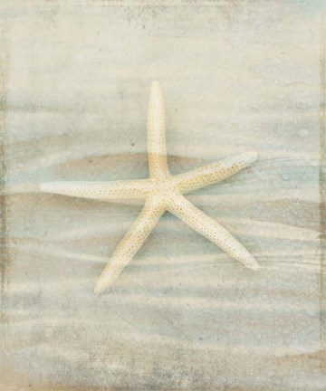 Framed Gypsy Star 3 Print