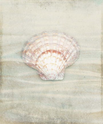 Framed Gypsy Star 4 Print