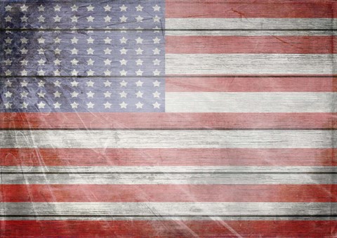 Framed American Freedom Collection 1 Print