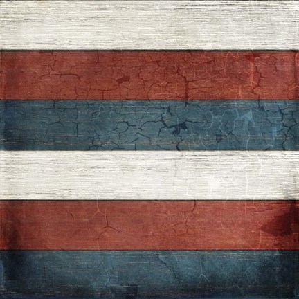 Framed American Freedom Collection V7 Print