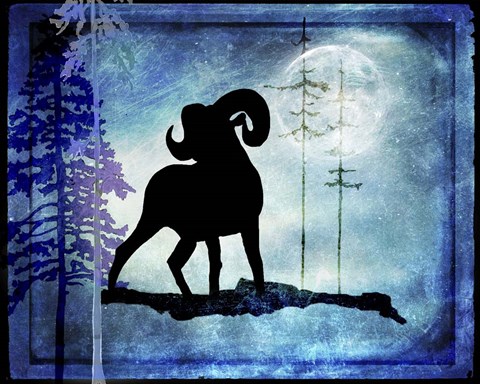 Framed Midnight Sheep Print