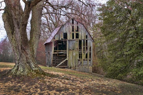 Framed Barn Shell Print