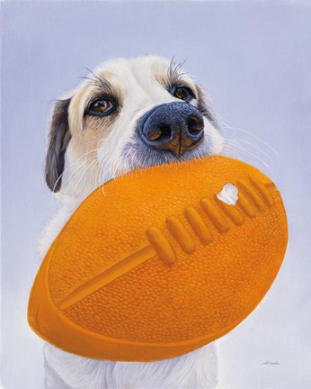 Framed Newburgh no. 9 Print