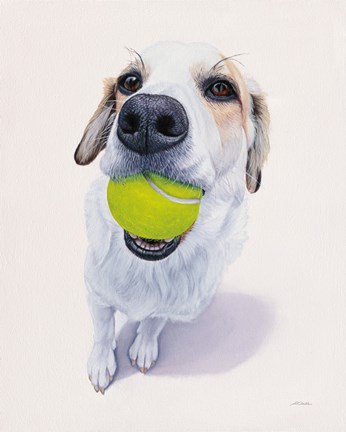 Framed Newburgh no. 6 Print