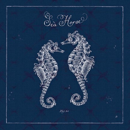 Framed Underwater Life XIII Print