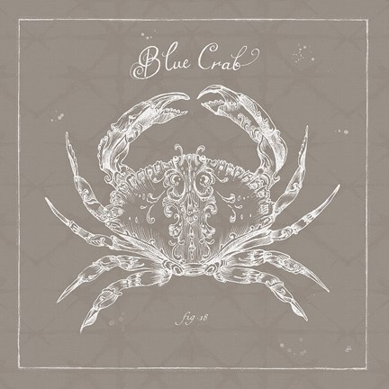 Framed Underwater Life XII Greige Print