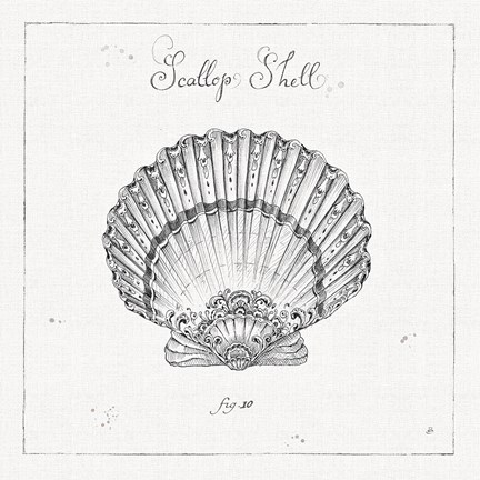 Framed Underwater Life VII Print