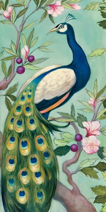 Framed Pretty Peacock II Print