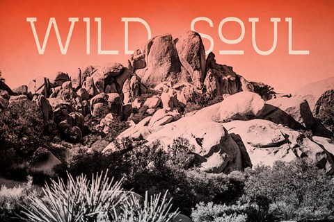 Framed Ombre Adventure II Wild Soul Print