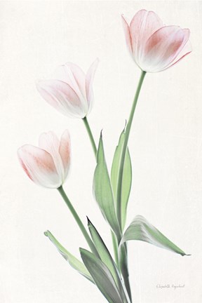 Framed Light and Bright Floral I Print