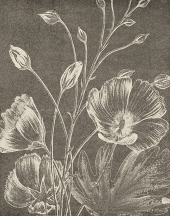 Framed Botanical Beauty Chalk IX Crop Print