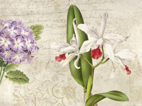 Framed Botanique Moderne III Print