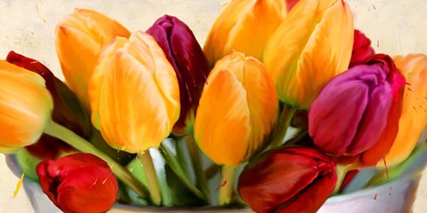 Framed Colorscape I Print