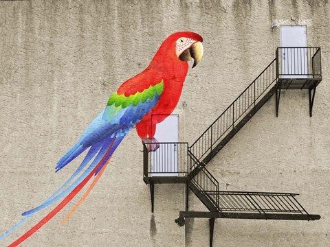 Framed Escape from your cage Print