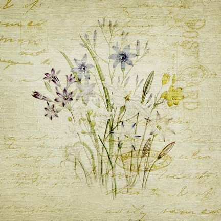 Framed Flower Print Four Print