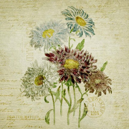 Framed Flower Print One Print