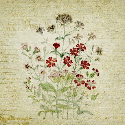 Framed Flower Print Three Print