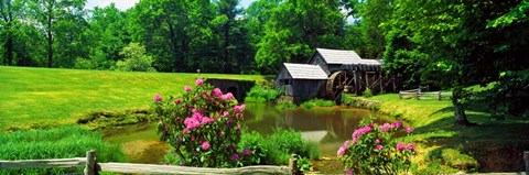 Framed Trees around a Watermill, Mabry Mill, Blue Ridge Parkway, Floyd County, Virginia Print