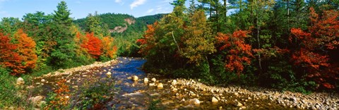 Framed River flowing through a Forest, Swift River, White Mountain National Forest, New Hampshire Print
