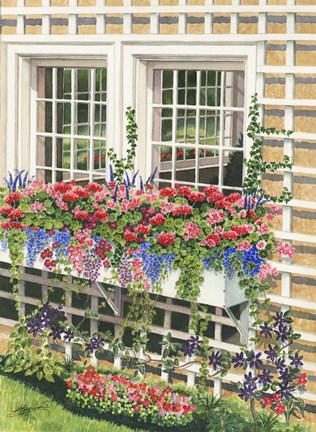 Framed Butchart Gardens Window Box Print