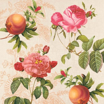 Framed Pomegranates and Roses on Cream I Print