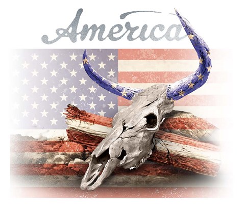 Framed America on White Print