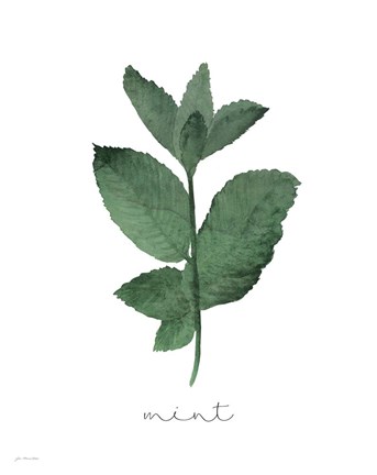 Framed Mint Print
