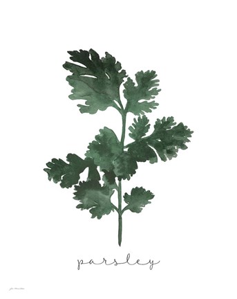 Framed Parsley Print