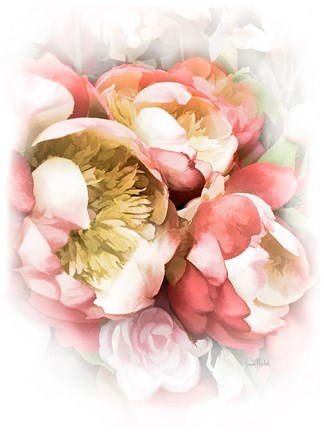 Framed Peach Peony II Print