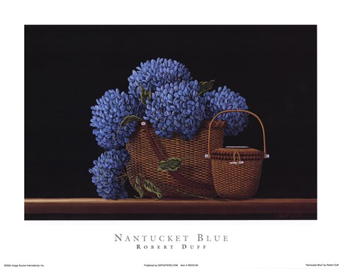 Framed Nantucket Blue Print