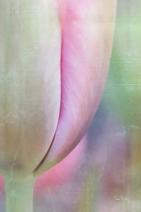 Framed Spring Beauty Print