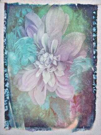 Framed Midnight Mystery II Print