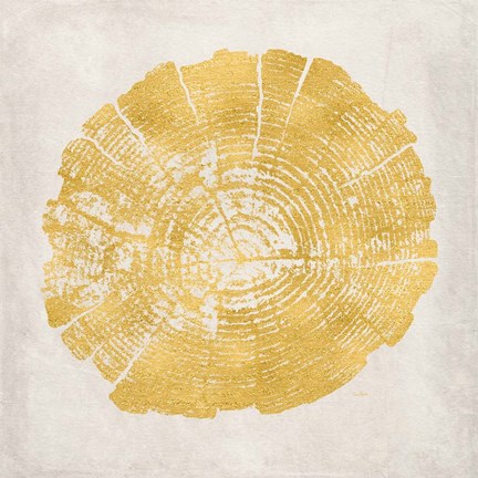 Framed Tree Stump Golden I Print