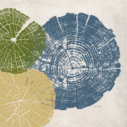 Framed Three Tree Ring II Print