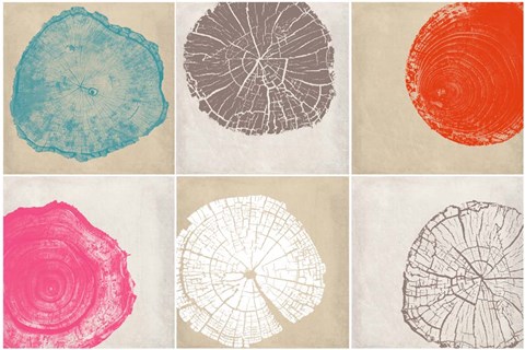 Framed Tree Stump Composite Print