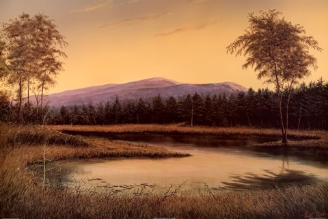 Framed Magestic Landscape II Print