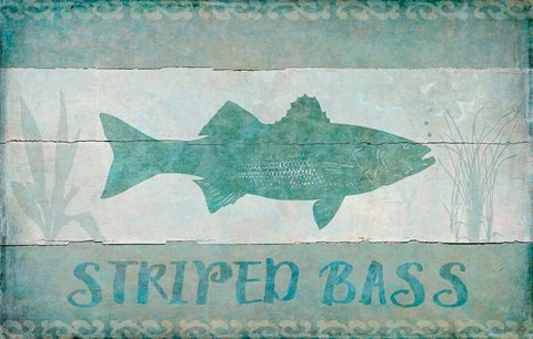 Framed Striped Bass Print