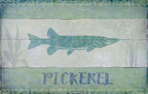 Framed Pickerel Print