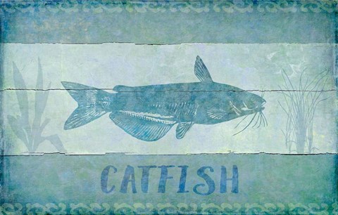 Framed Catfish Print