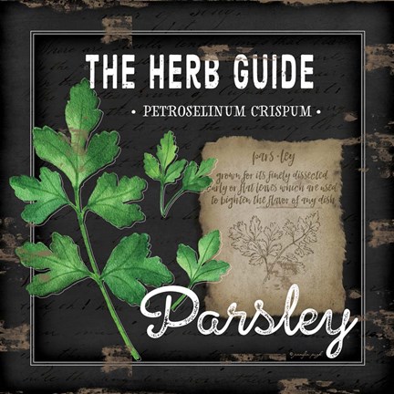 Framed Herb Guide Parsley Print
