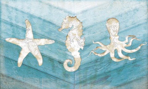 Framed Coastal Print