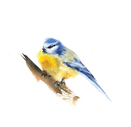 Framed Bird Simplicity Print