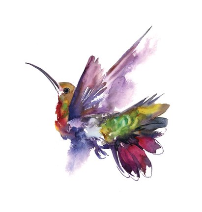 Framed Colorful Hummingbird Print