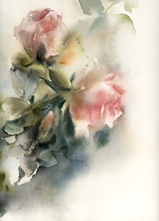Framed Misty Roses Print