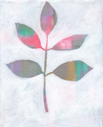 Framed Leaf Abstract III Print